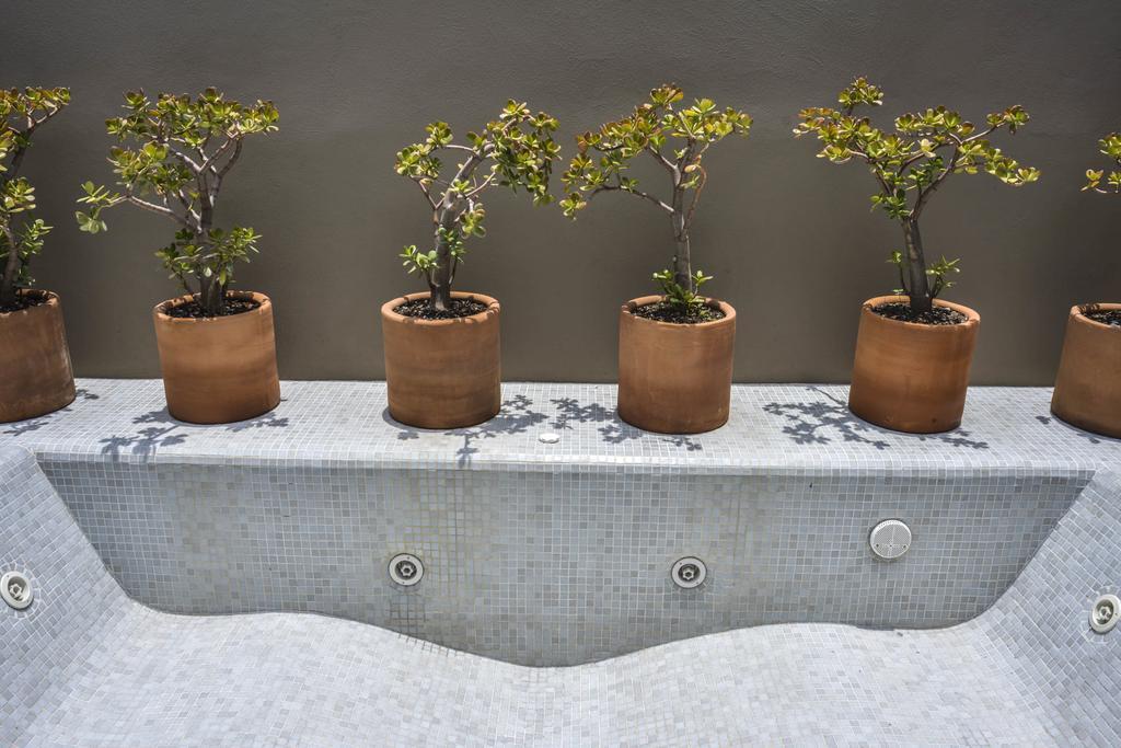 Hotel Criol 케레타로 외부 사진 Plants in a hydroponic system