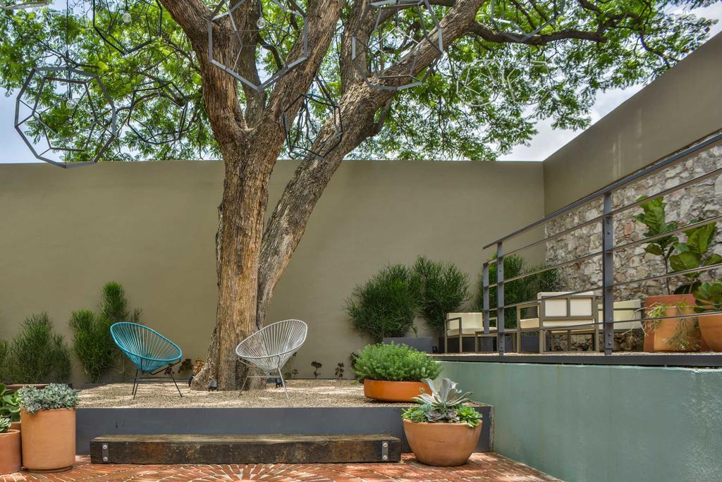 Hotel Criol 케레타로 외부 사진 A contemporary garden in Austin, Texas