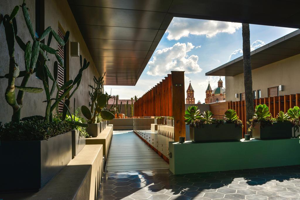 Hotel Criol 케레타로 외부 사진 The rooftop garden